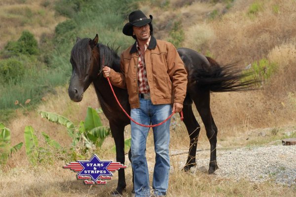 Jacke Range Rider corn Jacke Range Rider corn