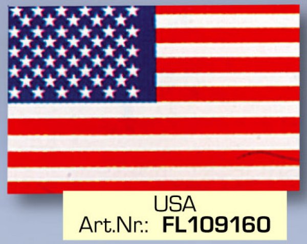 USA Flagge FL 109160