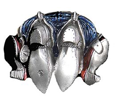 Gürtelschnalle S 65762